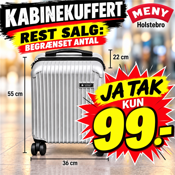 Hardcase kabinekuffert - 36×22×55cm AFHENTNING ONSDAG KL 8-18 VED DEN GRÅ LAGERDØR